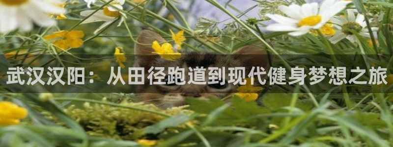 意昂平台注册入口