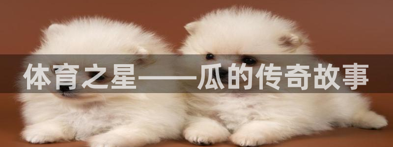意昂3官网登录