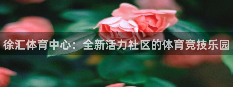 意昂5代理注册官网入口