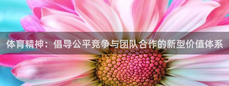 意昂5f凯捷平台在线注册