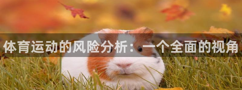 意昂体育4