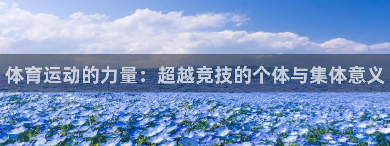 意昂5体育3在线注册