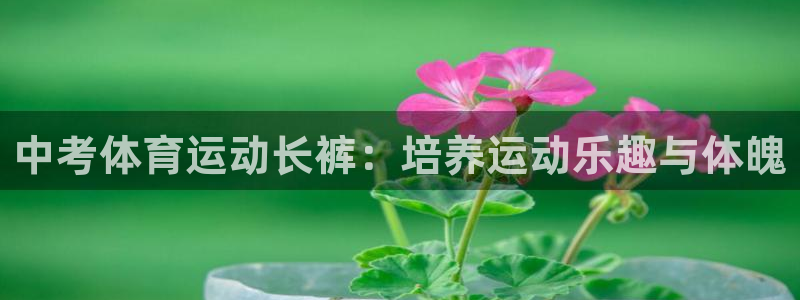 意昂5体育eon