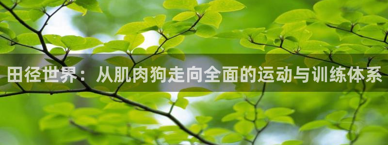 意昂5集团股票
