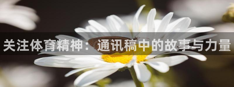 意昂5凯捷平台