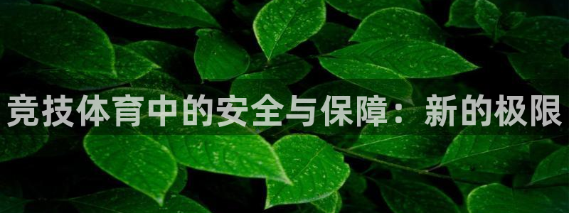 意昂5体育官网入口登录