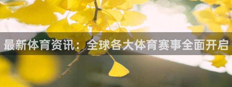意昂注册