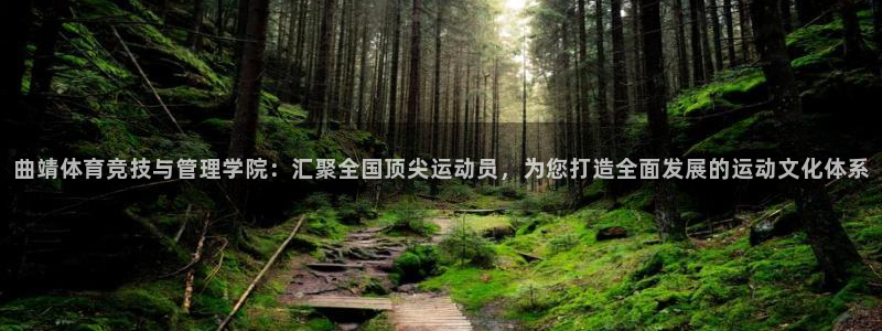意昂5体育平台登录入口
