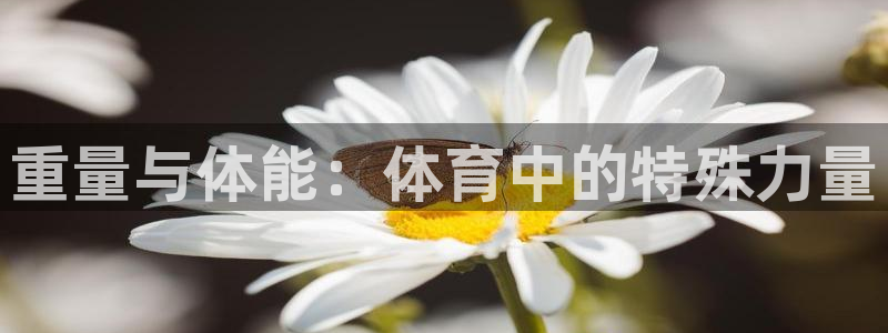 意昂5平台注册