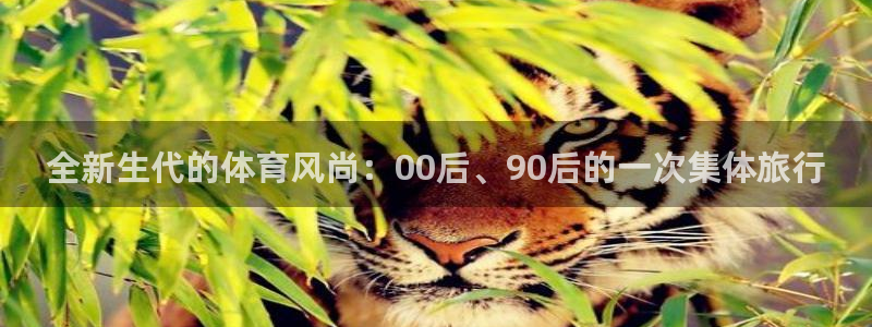 福建意昂5机电股份公司