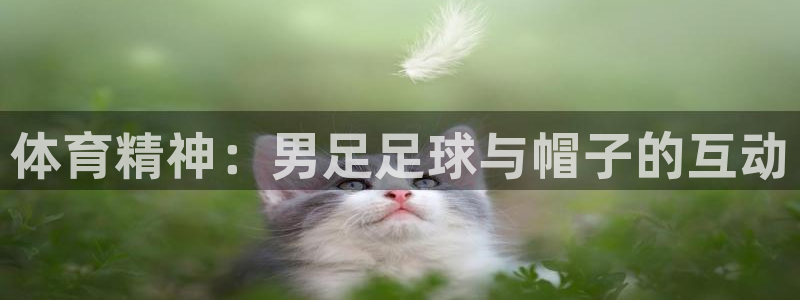 佛山市南海意昂5机电仪器有限公司