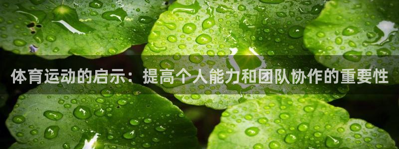 意昂5体育app下载