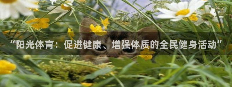 意昂包