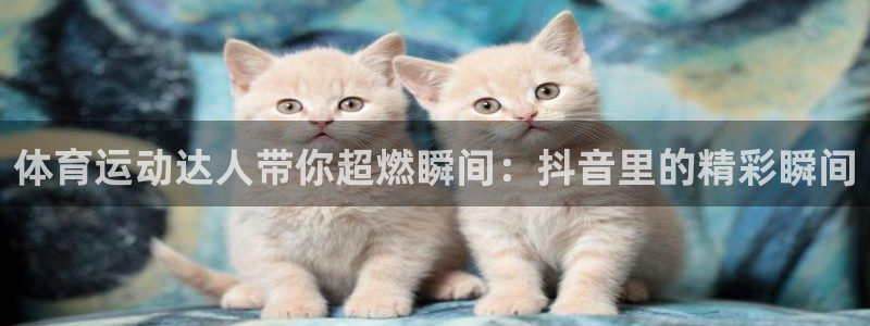 意昂体育