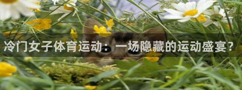 意昂官网