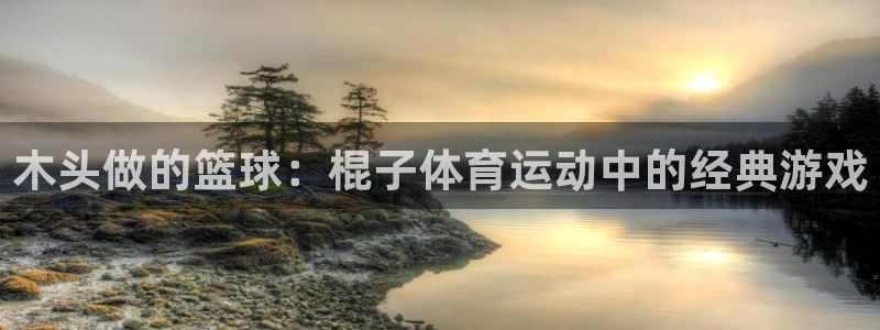 意昂总代