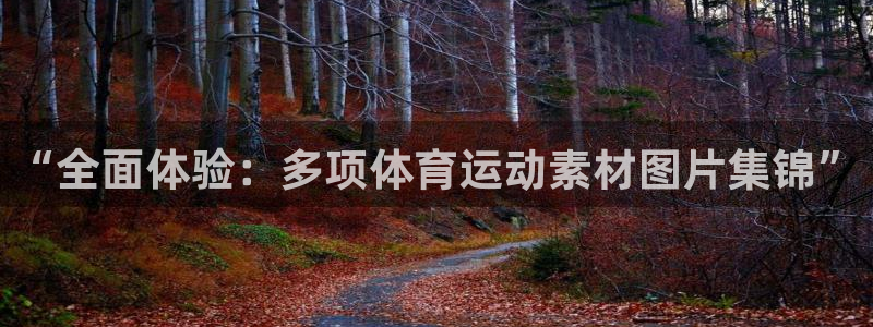 意昂注册