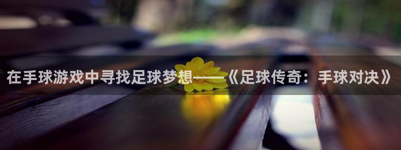 意昂5体育官网登录