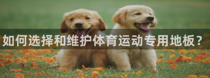 意昂4平台注册