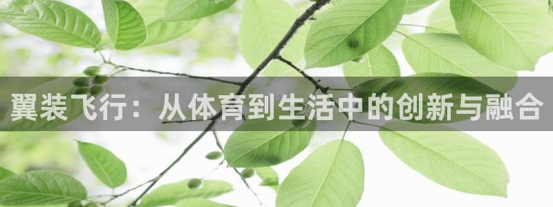 意昂的动画